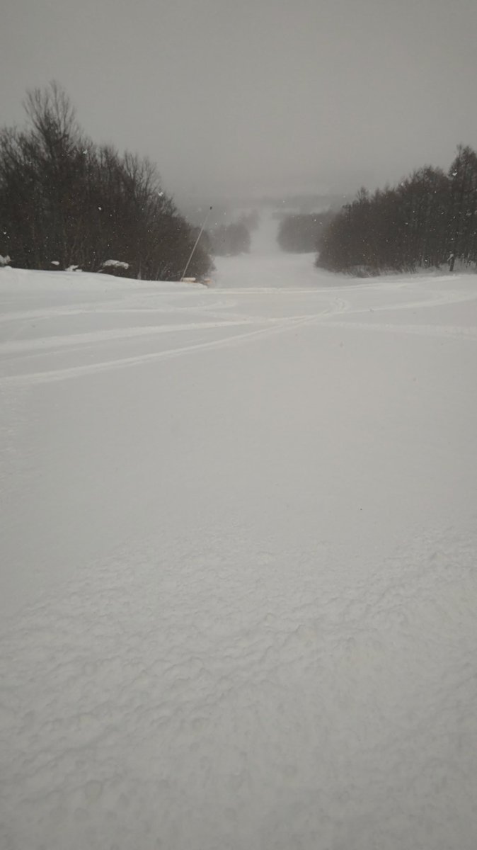 b85e48cb67594b4's tweet photo. 安比高原スキー場寄ってみました‼️✌️
でも大雪で風もすごくてゴンドラ動いてない‼️😭
なので新雪ちょっと楽しんで早めに帰ります😅
#安比 
#安比高原 
#安比高原スキー場 
#atomicski 
#atomicredster 
#atomicx9i https://t.co/5lBsHsuiIA
