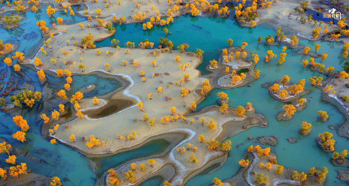 ViVi Tong tweet media