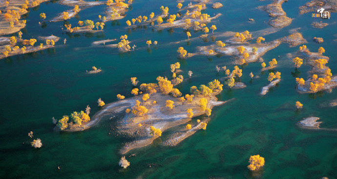 ViVi Tong tweet media