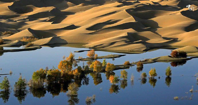 ViVi Tong tweet media