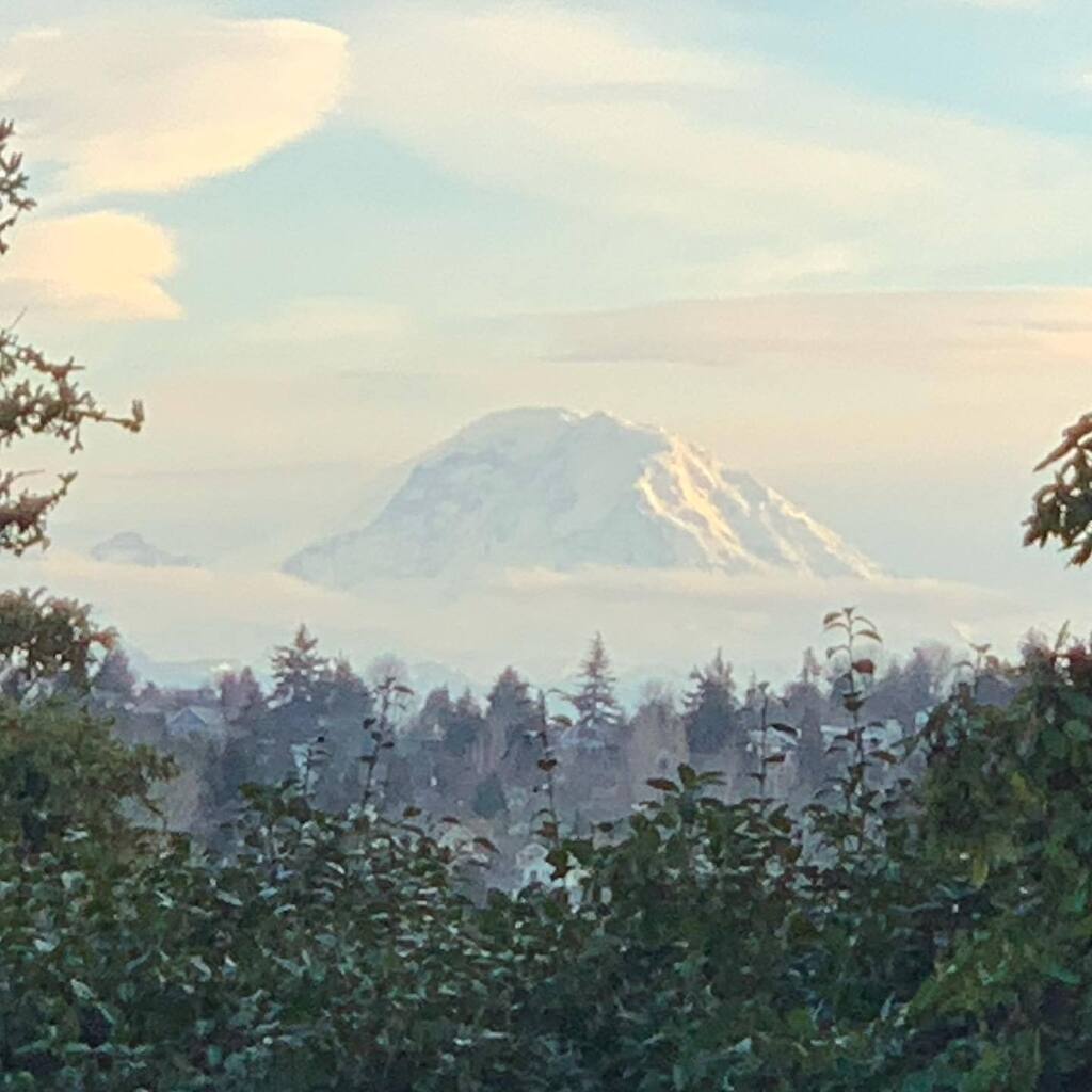 Luke Rain tweet media