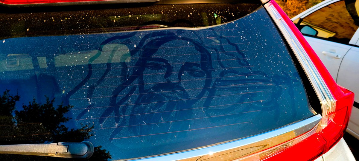 GottaBeCrazy2's tweet photo. #GISH2022 #Item96: The band Kansas is famous for their haunting melody, "Dust in the Wind(ow)..." Wipe away dust off a dirty vehicle window to create a portrait of one or more of the members of Kansas.
@kansasband #GISH #TeamGottaBeCrazy https://t.co/yQa03yel6j