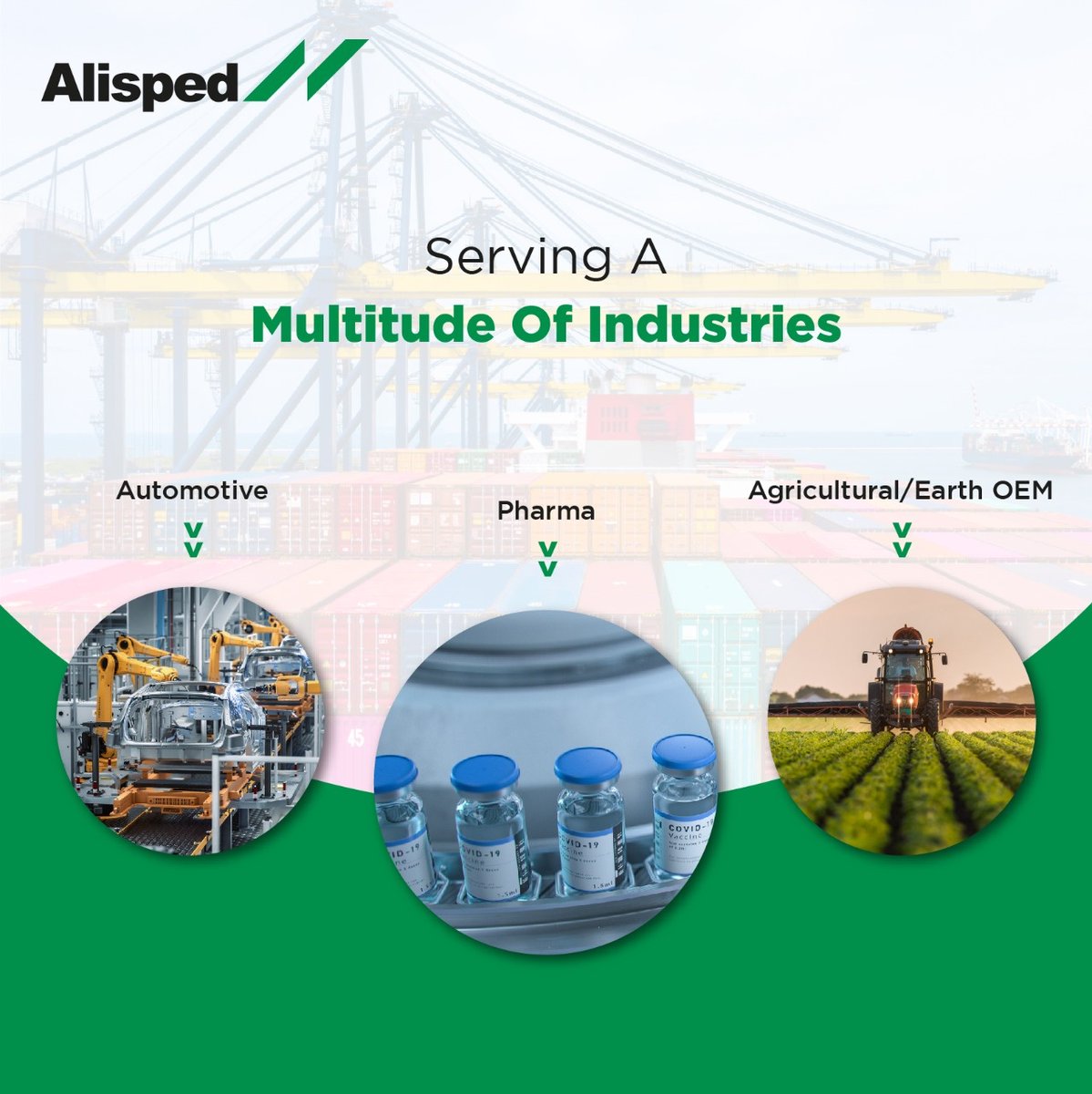 Alisped India tweet media