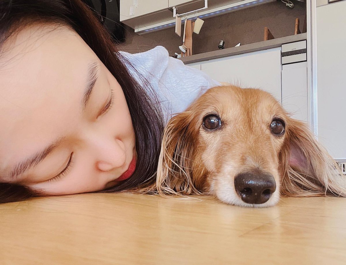 서현진 팬카페 지니어스 tweet media