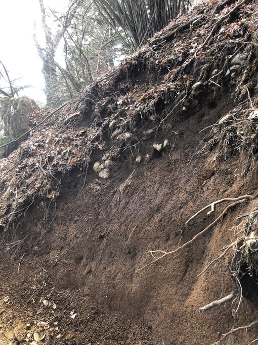 赤土に石ころ、噴火の噴出物かなんかなのかな 