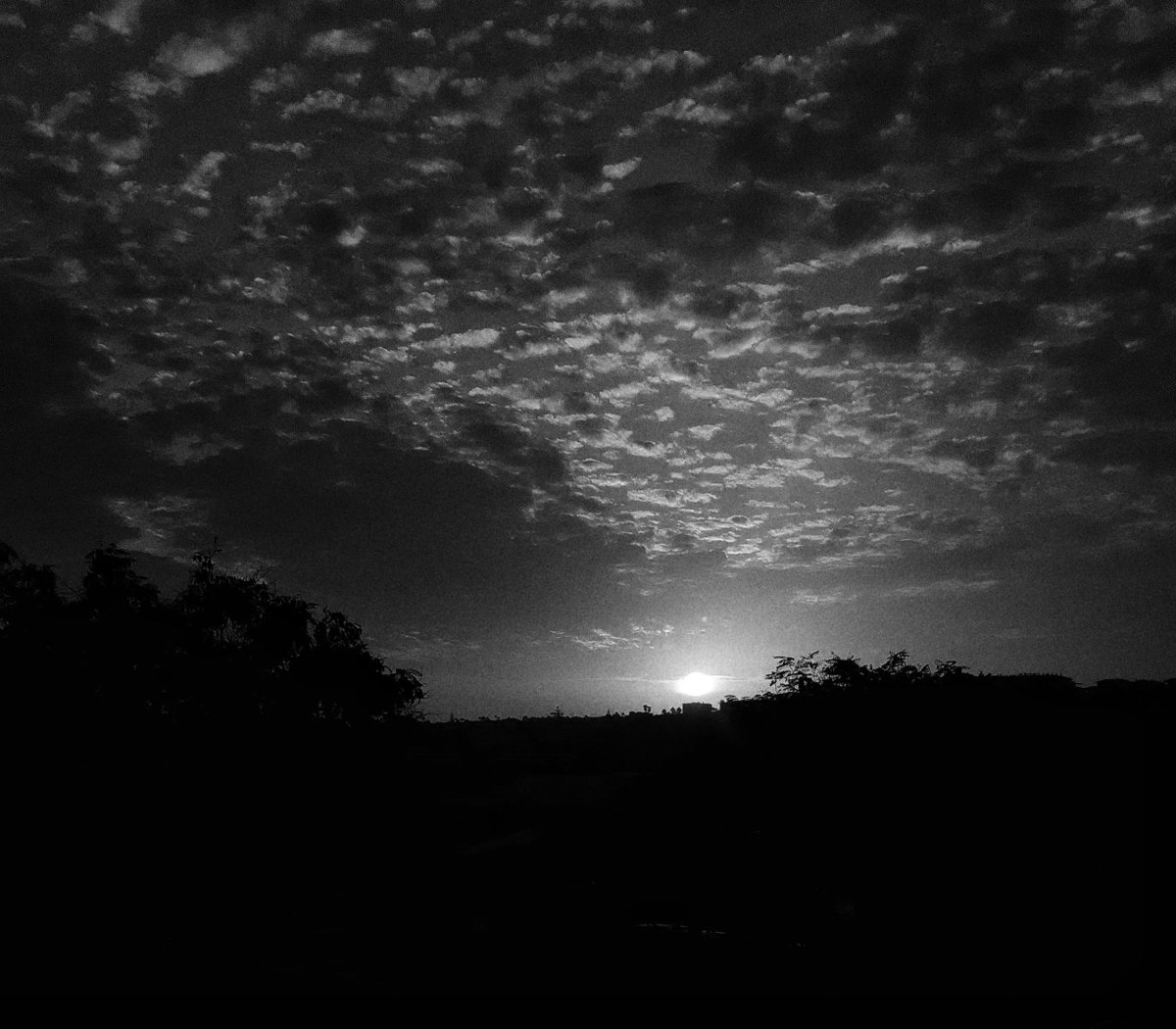 #paisaje #landscape #naturaleza #naturalezaviva #nature #Maspalomas #ig_canarias #igers_wdw #nubes #clouds #atardecer #sunset #canariasdiferente 
#enero
instagram.com/p/Cm-odNbIOS_/…