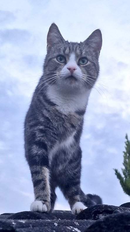 Winksy with the 3 legs 🌍 tweet media