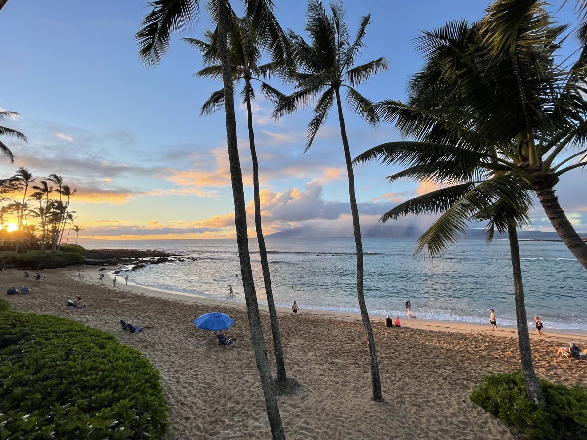 Farfel22's tweet photo. Napili https://t.co/pZUE7BunAv
