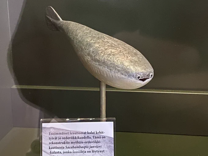 小知識
前陣子瘋傳的醜魚雕刻,實際上是薩卡班甲魚屬(Sacabambaspis)的其中一種,現已滅絕。

對,真的就長這怪樣 