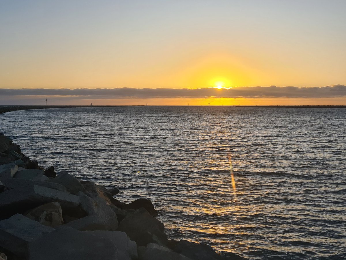 TrySarahTopz tweet media