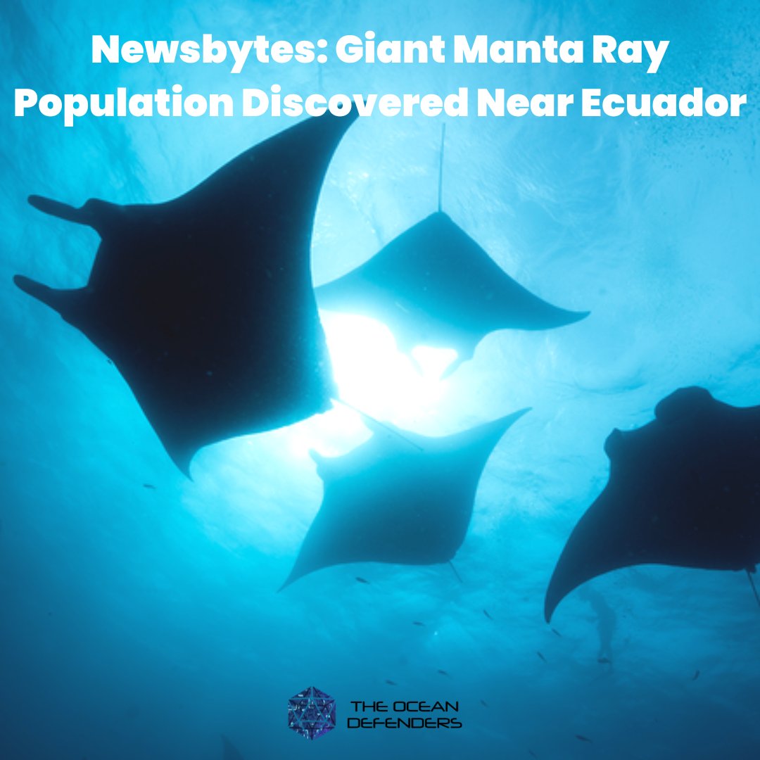 The Ocean Defenders - Ocean Action Comics tweet media