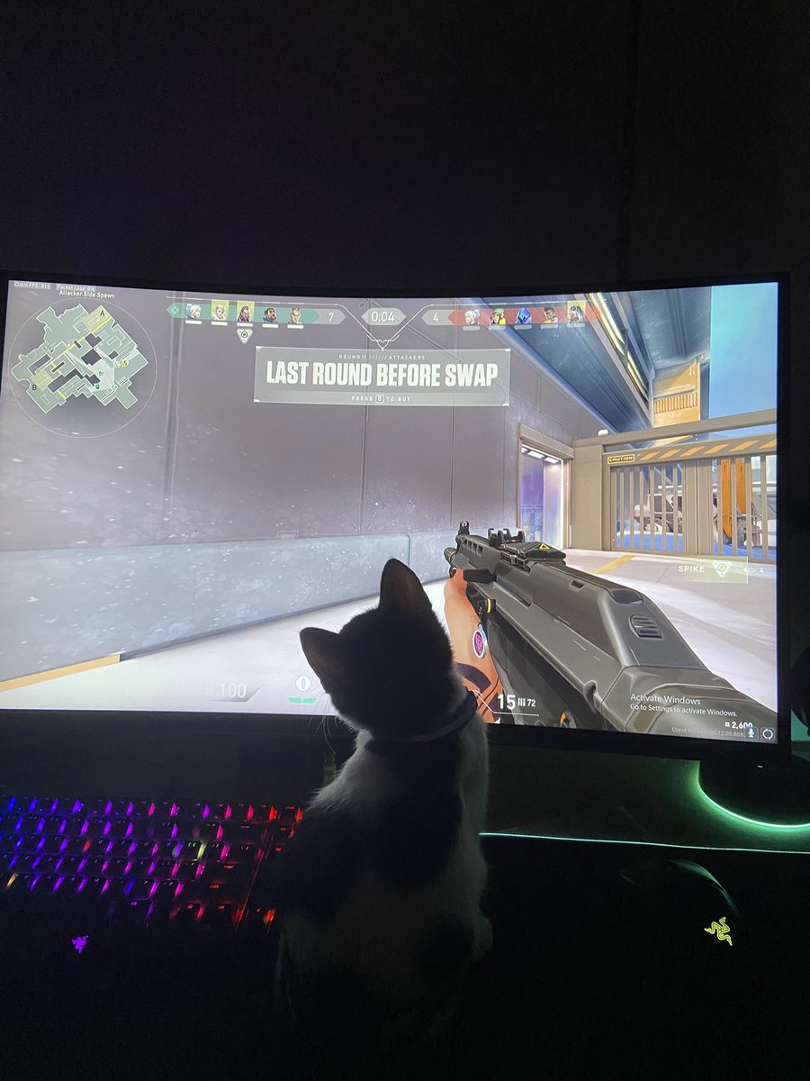 thaddeys's tweet photo. kaya pala winstreak #catbuff https://t.co/rtCvGqHQlZ