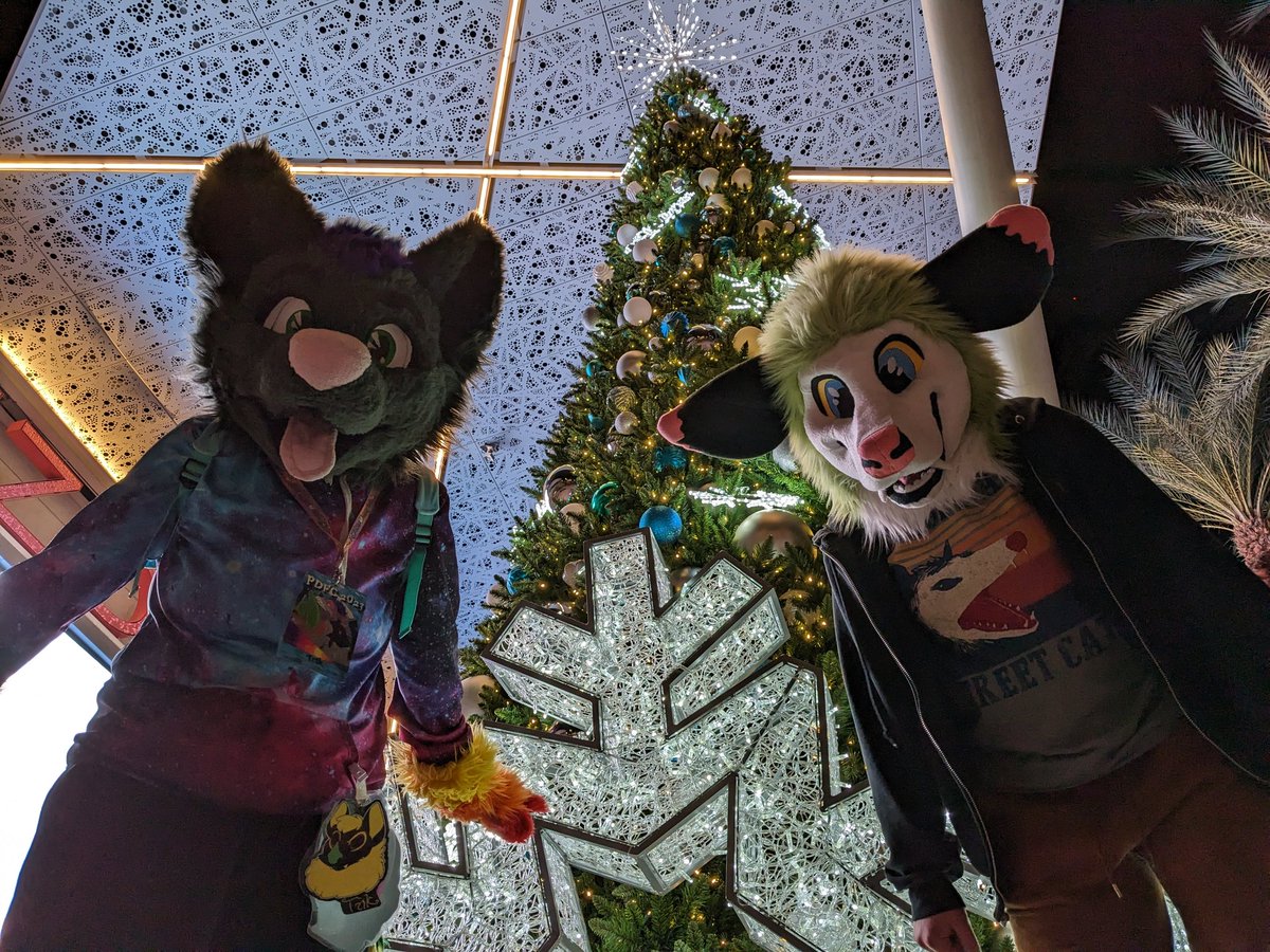 Phlegm404's tweet image. Thursday pics
#pdfc2023