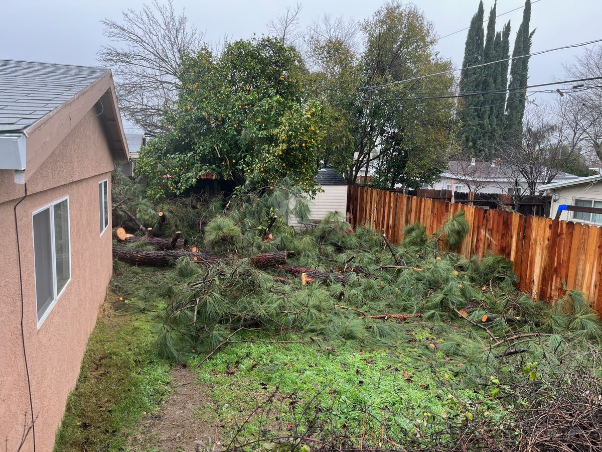 SACMobile11's tweet photo. Saturday Dec 31st at around 8:15PM a Tree came down in our neighbors yard. It took out a power pole and wires. Our whole block lost power. Today Tuesday we received an update from #SmudUpdates saying we’ll have power by the 6th!  No one has been by to evaluate it. @kcranews https://t.co/4UYRl6tRYk