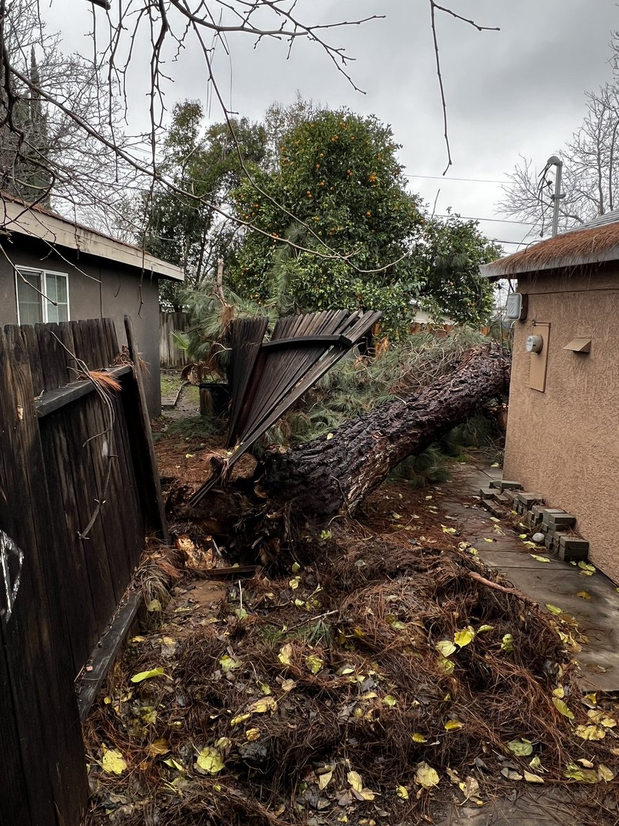 SACMobile11's tweet photo. Saturday Dec 31st at around 8:15PM a Tree came down in our neighbors yard. It took out a power pole and wires. Our whole block lost power. Today Tuesday we received an update from #SmudUpdates saying we’ll have power by the 6th!  No one has been by to evaluate it. @kcranews https://t.co/4UYRl6tRYk