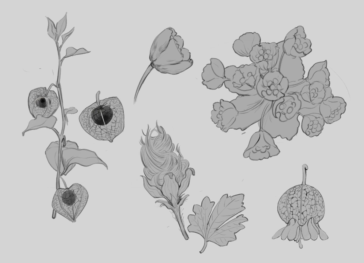 LeePaul1201's tweet photo. Some plant designs. Now it is much easier for me to add complex patterns like leaf/ fruit veins on the art, by making patterns of these things, then adding them to the object using warp, and refining with brush and smudge tool. https://t.co/mnvBTlm7gg