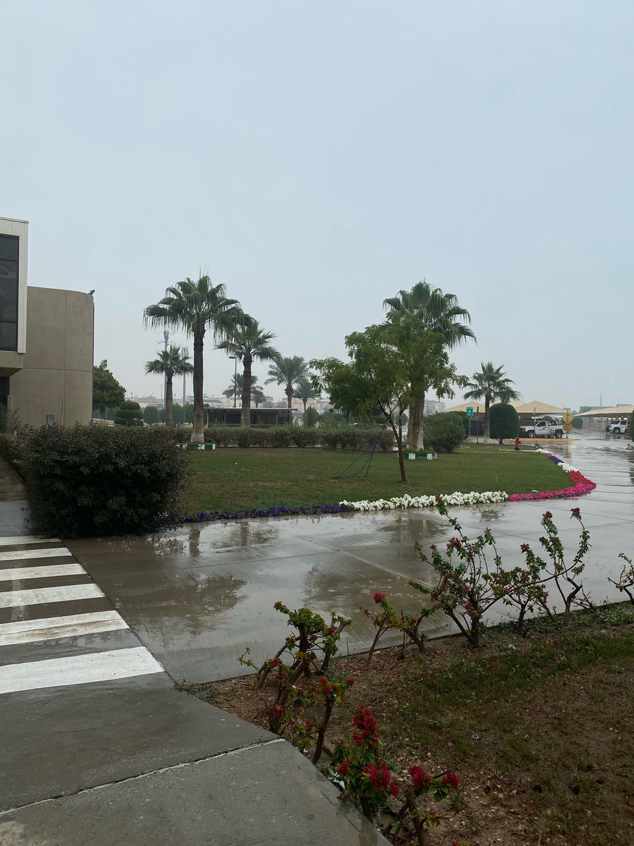 لو للسحايب يا طويل الهدب سوق
__شريت لك برقٍ رهيف و سحابه