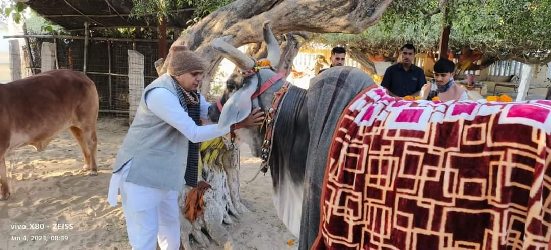 smraoborli's tweet photo. आज 51वें जन्मदिन के पावन अवसर पर #श्री_गोधाम_महातिर्थ_आनन्दवन_पथमेड़ा में गौमाता की आरती व पूजा अर्चना कर गौमाता को हरा चारा व गुड़ खिलाकर #गौसेवा कर आशीर्वाद प्राप्त किया।

इस दौरान भाजपा जनप्रतिनिधि व कार्यकर्ता बंधू मौजूद रहे।

#smraoborli https://t.co/O115FkIVKS