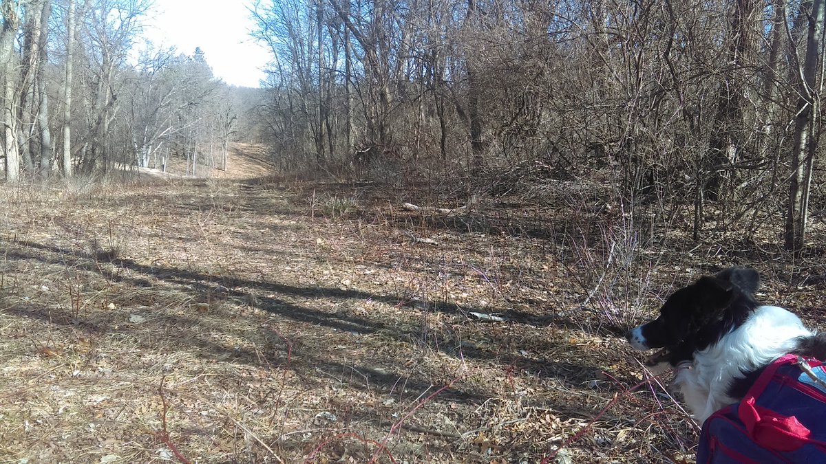 EverydayParks's tweet photo. Flat River State Game Area
Belding, Michigan
4.4/5 stars (8 ratings)
#Belding #Michigan https://t.co/iQSAd5AkYW