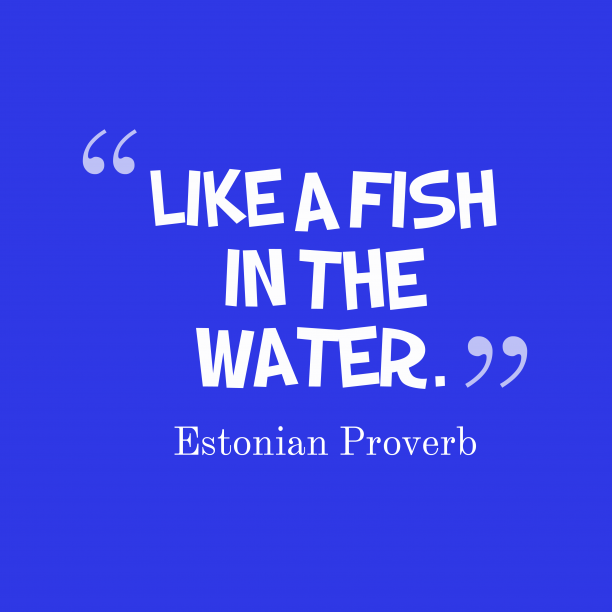 TopLifeProverbs's tweet photo. like a fish in the__quotes by Estonian Proverb 90 612x612
#americansayings #acceptance #inspire https://t.co/FWxXCGuIu9