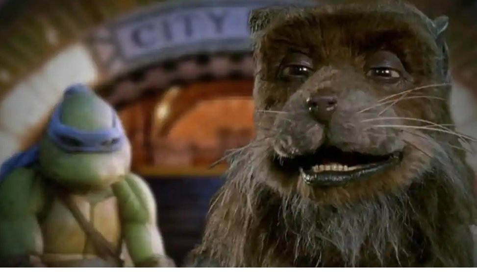 HalvThomas's tweet photo. @insultsrare He is a famous Ninjutsu master, trained the Ninja turtles in his later years (picture for proof) https://t.co/iWNZdcWcd4