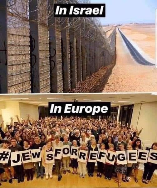 Honkpilled tweet media