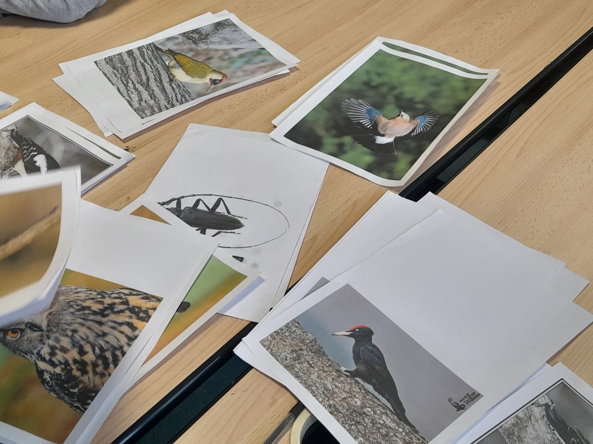 CultureCotton2's tweet photo. Pour commencer 2023 sous des bons auspices, les ateliers artistiques et les sorties ont repris en ce mardi 🥳
@MerminFlorian était présent pour initier les élèves au #fusain à partir d'images d'animaux présentés par l'@ONF_Officiel #EAC @daacversailles @fdnc_fr @MSC_Officiel https://t.co/5jFWYqTaDM