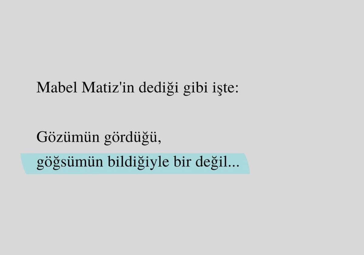 Feyza Kanal (@feyzuss) on Twitter photo 