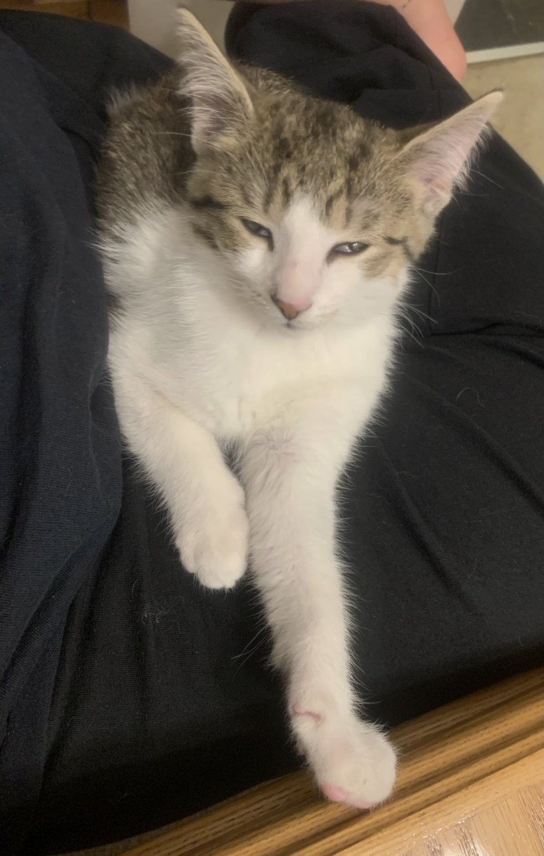 kablusiak tweet media