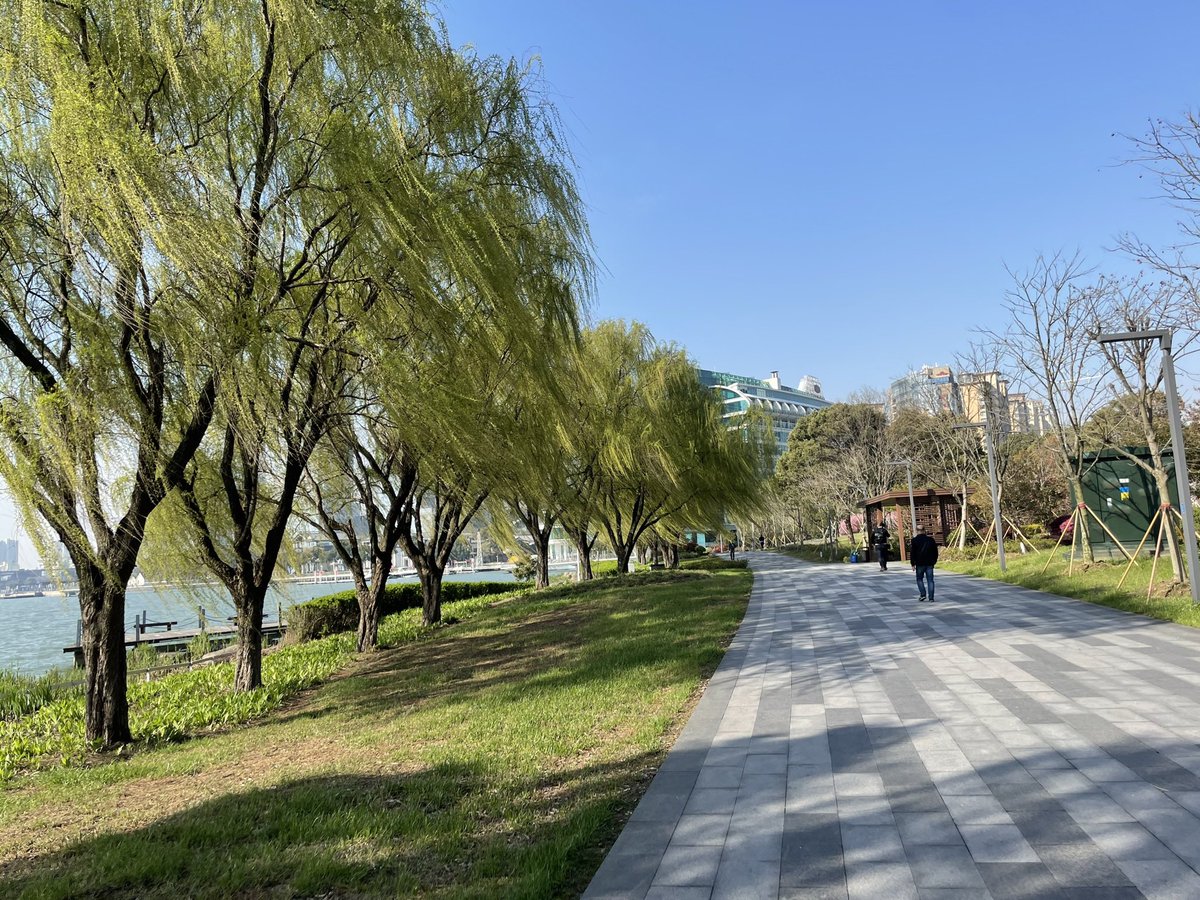 whatdougdoes's tweet photo. @AshUKTrade @louise_a_martin When I lived in #Suzhou I spent many happy hours running loops round Jinji Lake which can now be done mostly on raised, wooden platforms or wide pavements past #东方之门 and #月光码头. Gets a bit cobbly along #李公堤… but then there are some cafés to stop and chill, which helps! https://t.co/6BO4UJYvZk