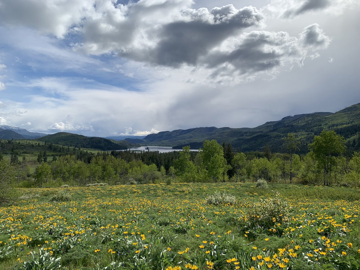 kablusiak tweet media