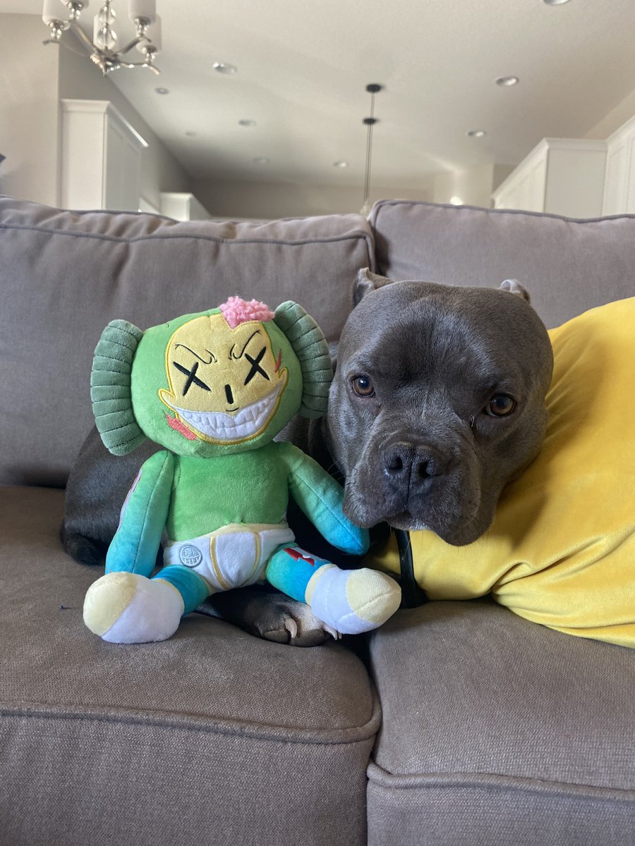 AndrewDiamondY1's tweet photo. Robert and my dog @sauceddie @gabbyvrofficial @joshdub @mully @YourNarrator1 @juicyfruitsnacc https://t.co/EP2i58znmN