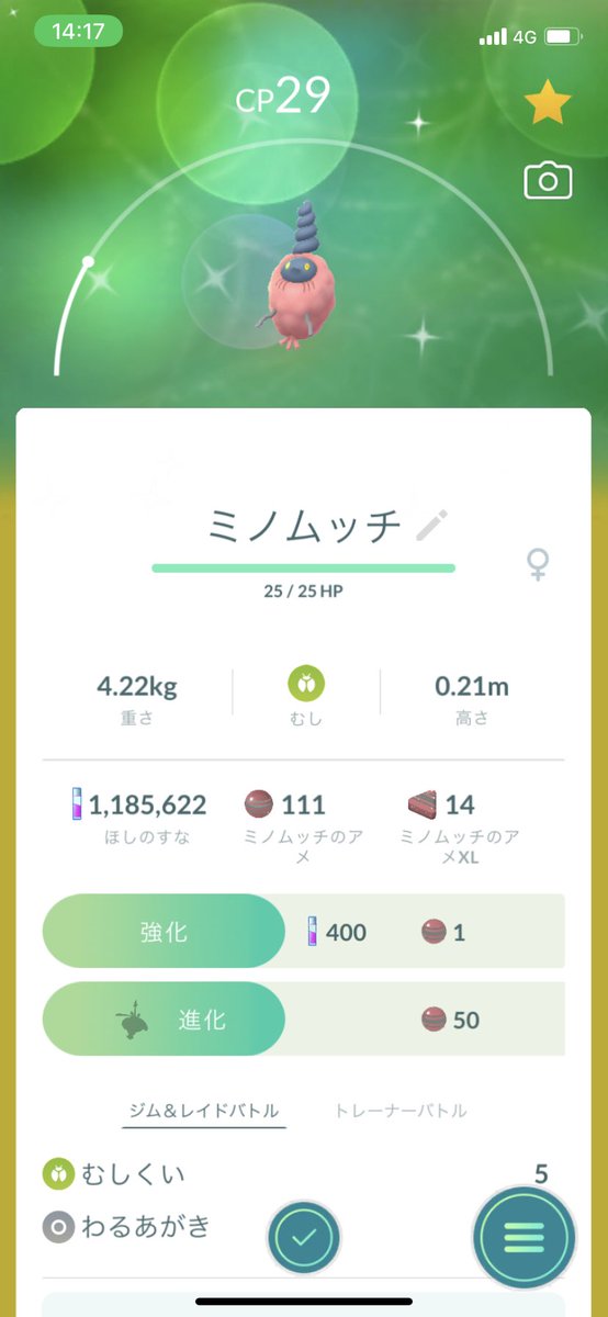 omaruuunn's tweet photo. お初のミノムッチ♀だー
うれしー🥰✌️ https://t.co/TAG4sSDvdL