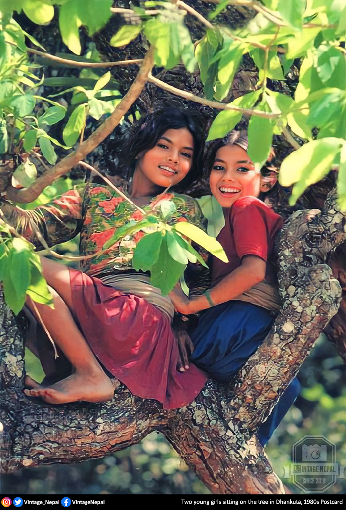 Vintage_Nepal's tweet photo. Cheerful young girls sitting on a tree in Dhankuta.

1980s Postcard @Vintage_Nepal https://t.co/so6svNfAqL