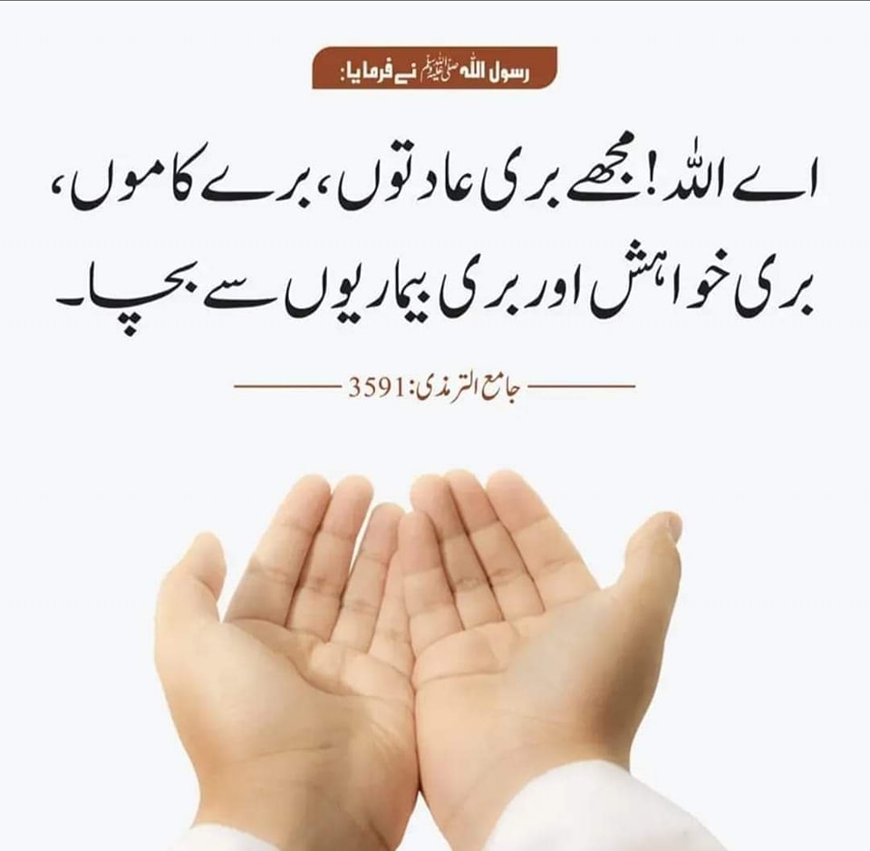 Hazrat Muhmmmad ny fermaya!
#quotes #instagram #inspirational #quoteoftheday
#minifashionshow #kidsfashiontrends #luxurykidswear #kidsfashionshow #childrenclothes #kidsfashionblog #childrensboutique #kids #kidsfashion #babyfashion #kidsstyle #kidsmodel #kidswear #citiangel