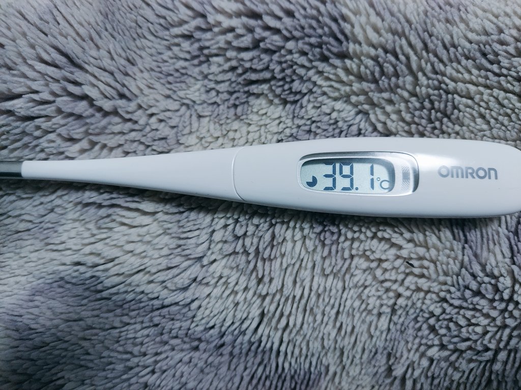 VaZGs's tweet photo. インフルエンザ、または高熱の風邪との診断ですが完全に熱が下がるまでは感染の可能性もございますので発送を見送りさせて頂きます。また、連絡に関しましても今暫くお時間を����ましたら幸いに存じます。よろしくお願い致します。 https://t.co/80DpSxplkt
