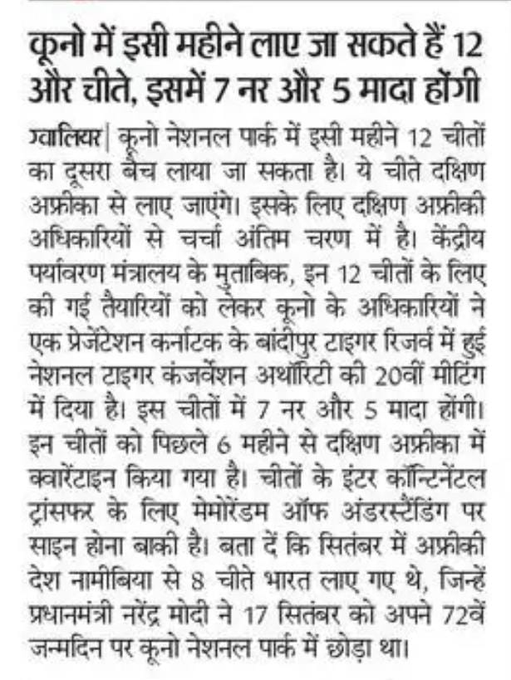 DFOSouthPanna's tweet image. कूनो नेशनल पार्क में इसी महीने लाए जा सकते हैं 12 और चीते
➡️इन चीतों में 7 नर और 5 मादा होंगी
➡️चीतों को पिछले 6 महीने से दक्षिण अफ्रीका में क्वारेंटाइन किया गया है

#CheetahStateMP 
#JansamparkMP