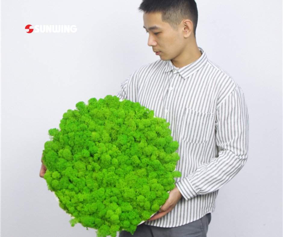 sunwinghedges's tweet photo. Import preserved moss, reindeer, and artificial moss wall bulk from #sunwingartificialplants! We have a great collection of moss walls in various colors, styles, and sizes to meet different markets' requirements.
#mosswall #artificialmoss #artificiaplants #moss #homedecorideas https://t.co/3fKW6PbDUA