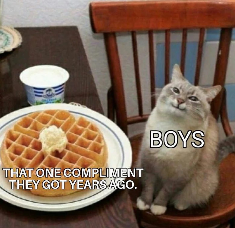 WholesomeMeme's tweet photo. https://t.co/zz7U0VJKE9