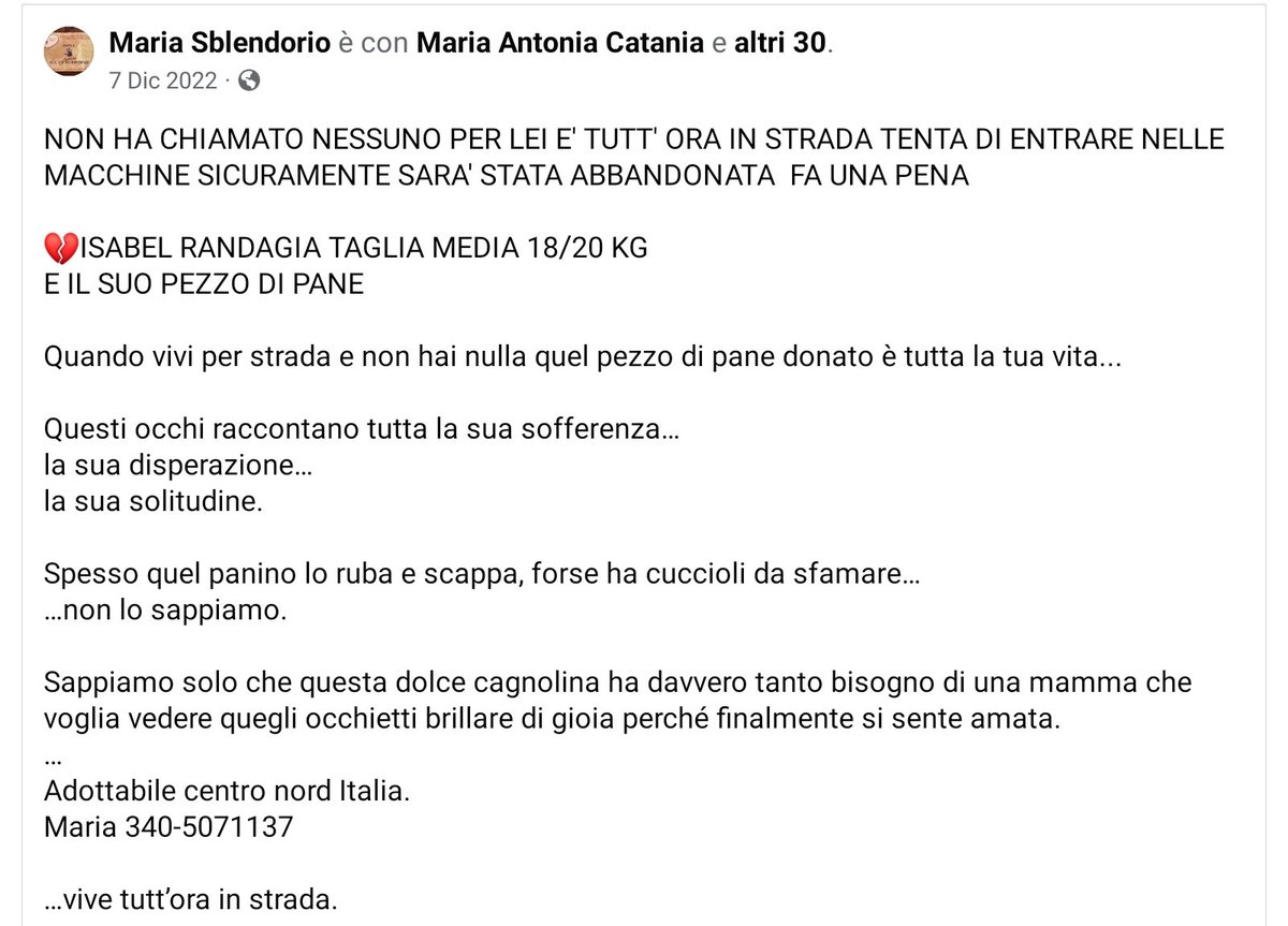 Ho già twittato di questa creatura e temo che a poco sia servito ... 😔 Vi scongiuro, condividete, non permettiamo che questa piccolina resti per strada ... Non ha NULLA ... PER FAVORE ...😔💔🙏🙏🙏🙏🙏🙏🙏
m.facebook.com/story.php?stor…
