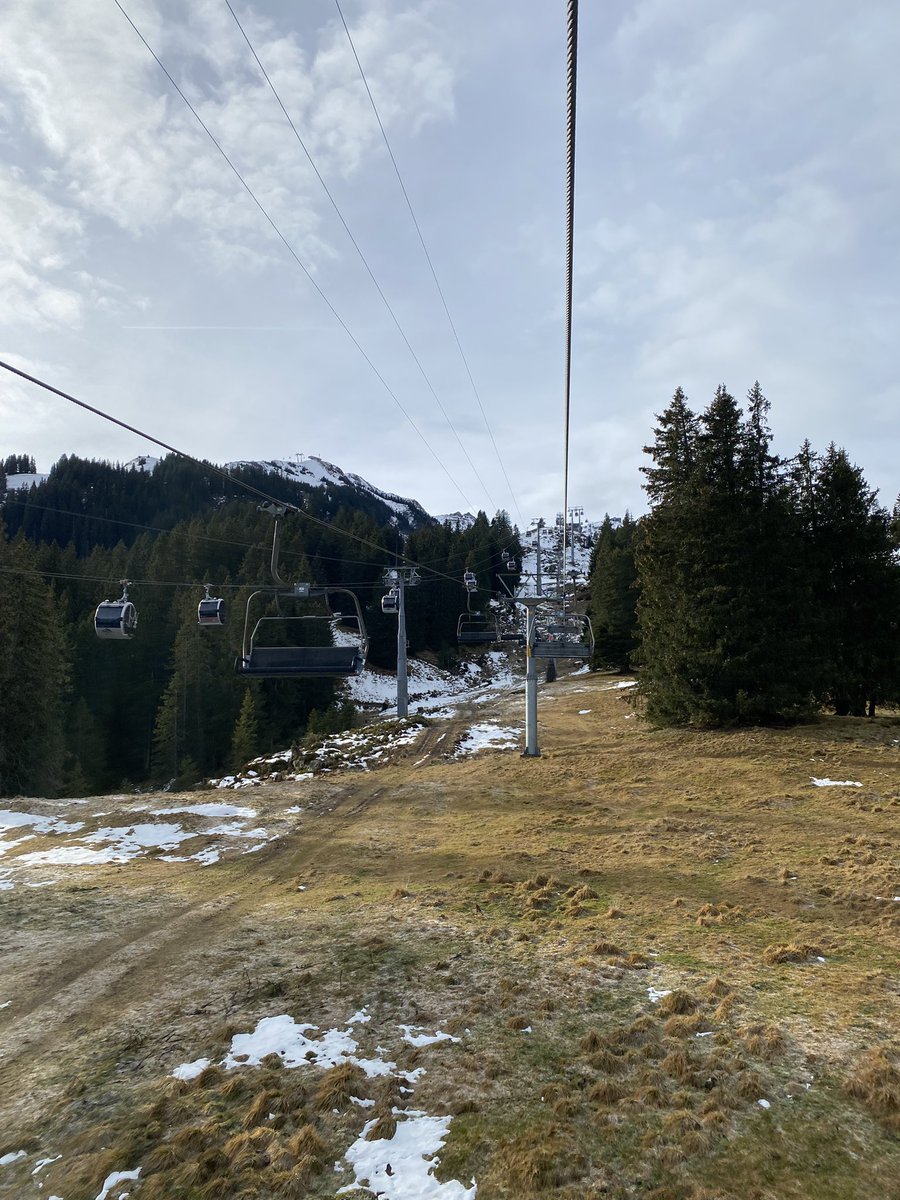 Katia Moskvitch, MPhil tweet media