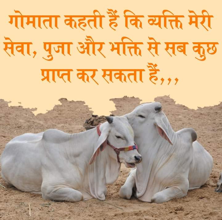 ShravanSRP's tweet photo. @SureshChavhanke @TigerRajaSingh @OmMathur_bjp @KapilMishra_IND @narendramodi @myogiadityanath @yogrishiramdev @AmitShah @rashtrapatibhvn @DN_Thakur_Ji @Ra_THORe @ashokgehlot51 @SrBachchan @akshaykumar @iamsunnydeol @usrp1973 @DDNewsHindi @dasraghubar @karansinghnet @SatishPooniaBJP @VasundharaBJP @ppchaudharybjp @gssjodhpur @harish25041 @PiyushGoyal @deepikapadukone @RanveerOfficial @drcpjoshi @Swamy39 @Tejasvi_Surya @nitin_gadkari @DilipRath10 @ravoria @DrKathiria @jai_krishnaa @cowsblike @girirajsinghbjp @NDDB_Coop @dairytodayin @DairyGyanIndia @GauPrem @Goumatha @KailashBaytu @AshwiniUpadhyay @girdharisingh71 @virendra79 @indigenouscows @RSSorg @chidswami धरती माता एवं गौमाता , का रिश्ता बहुत पुराना है । धरती देती घास गाय को, गाय खाद धरती माँ को ।।  मिले धरती माता को गोबर और गोमुत्र जब।  भागे धरती के सभी शोक और दुख तभ ।। जागे आप औरों को जगा दे, घर-घर में गायों का मन्दिर बना दे । https://t.co/FTlOwUqxSt