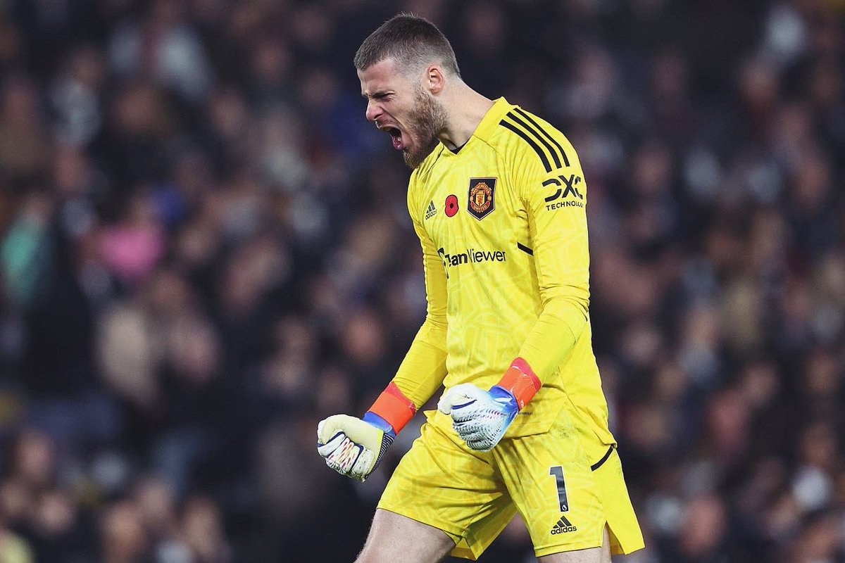 David de Gea tweet media