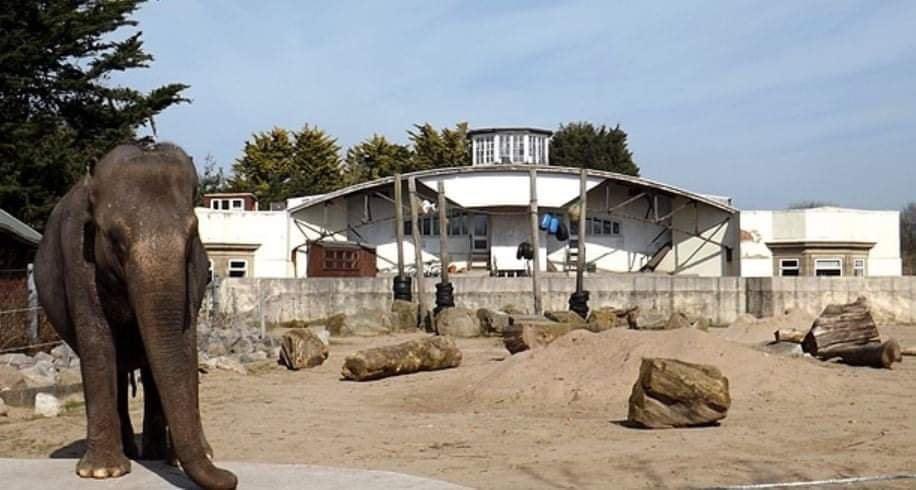 THEN and NOW:
Never built for Dumbo Jets😅 
The Blackpool Aerodrome in 1933,  now part of <a href="/BlackpoolZoo/">Blackpool Zoo</a> 

📸 Lancashire Coloured In.

#Blackpool #blackpoolzoo #history