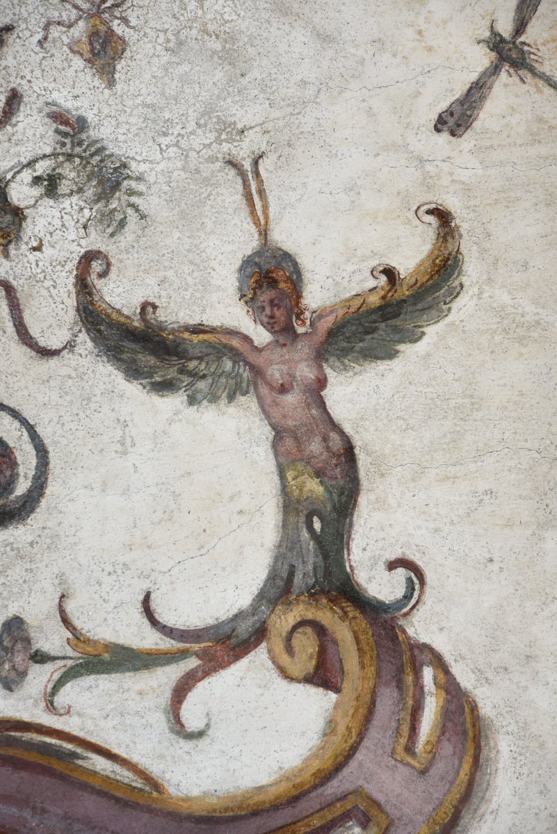 Visit Fossano tweet media