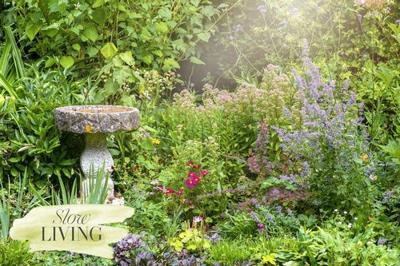 The slow movement is gaining ground among gardeners, here’s how to embrace it keepingyouinformed.info/trendspottr/ho…