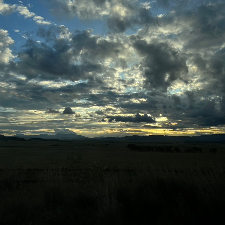 Francine Beaton tweet media