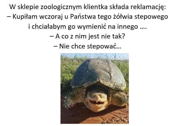 BWCH_BG_PW's tweet photo. Za to pięknie śpiewa🐢 😋😉 #libraryjoke #turtle #library https://t.co/Fa72HE04HB