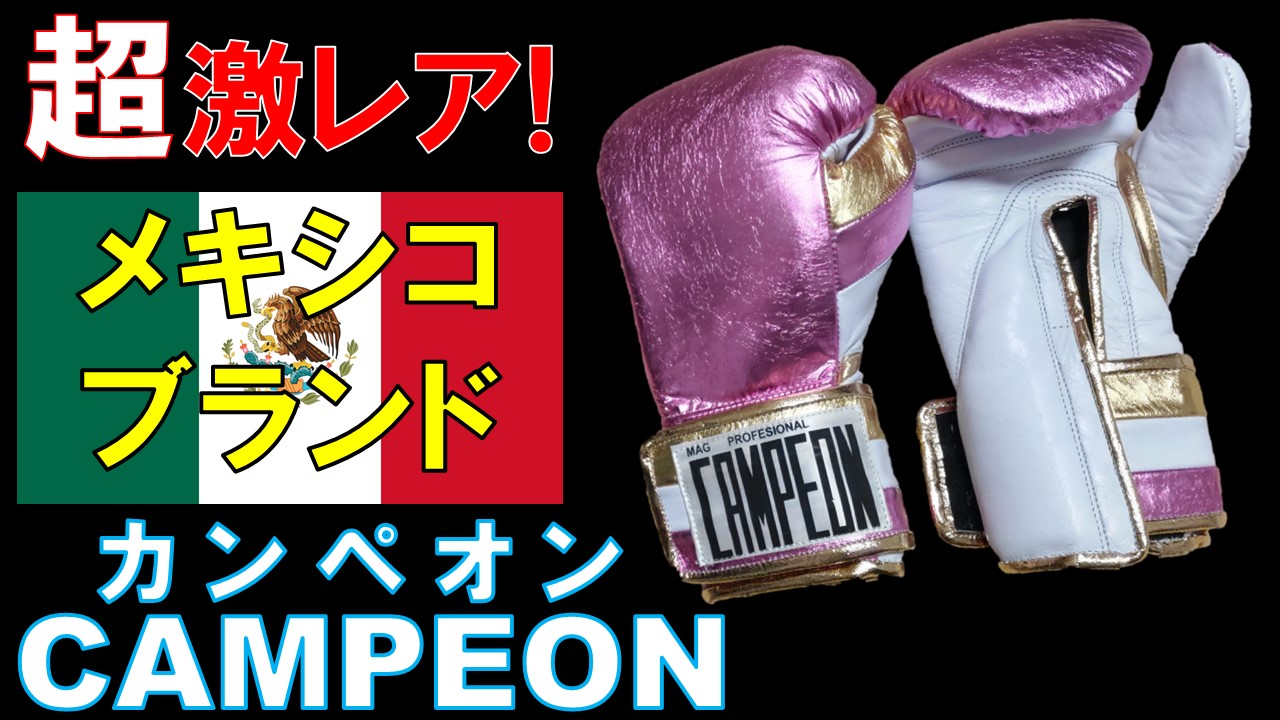 ショッピングお値下 カンペオン ボクシンググローブ inspektorat