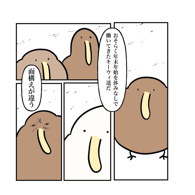 面構えが違うキーウィ 
